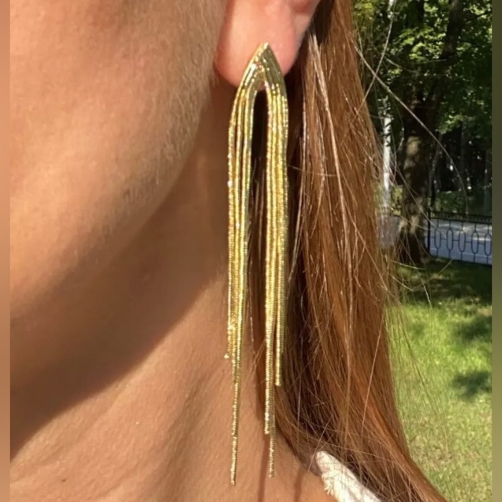 ✨✨Gold Fringe Earring / Statement Earring✨✨